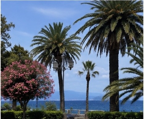 Calabria seafront, palm-lined promenade